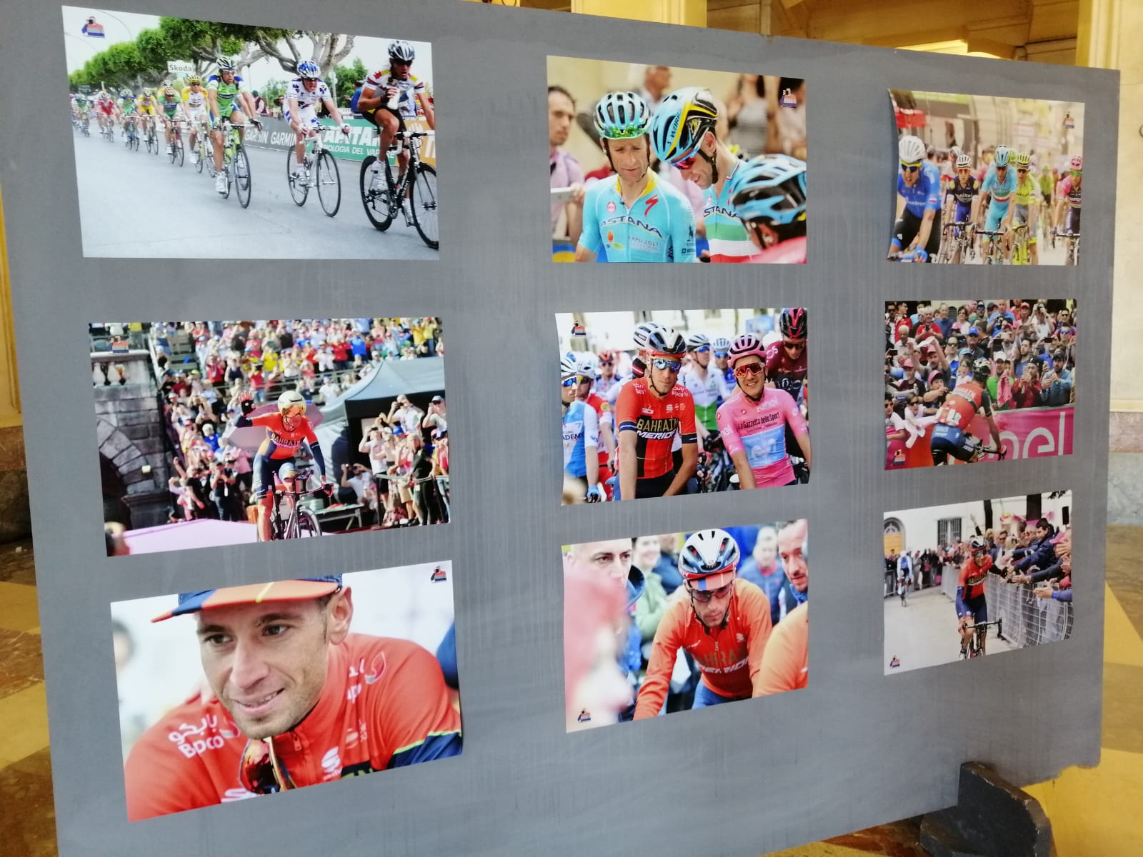 Messina A Palazzo Zanca La Mostra Dedicata A Vincenzo Nibali Foto